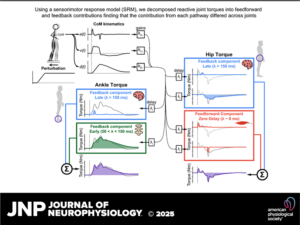 Read more about the article Manuscript Accepted!