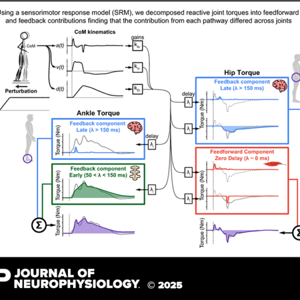 Manuscript Accepted!