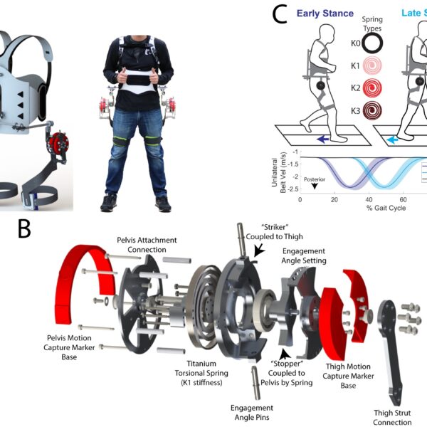 New Paper in the Journal of Biomechanics!