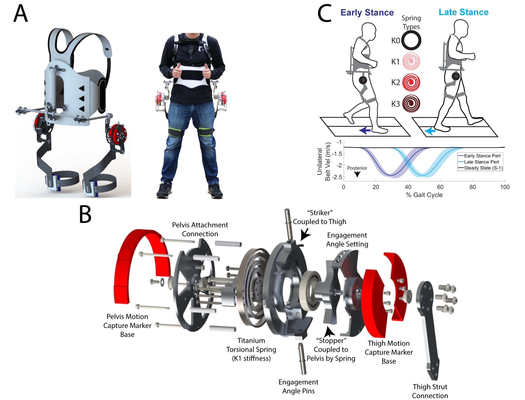 Read more about the article New Paper in the Journal of Biomechanics!