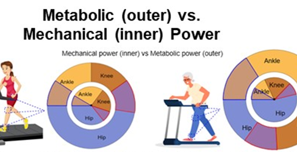 PoWeR Lab Launches on LinkedIn & Receives Grant for Aging Research